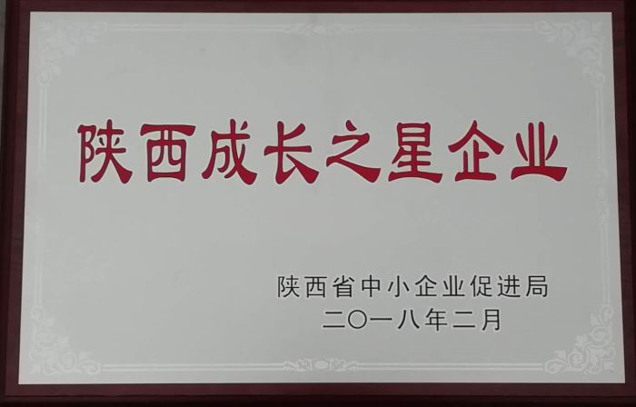 2018年度陜西成長之星企業(yè)